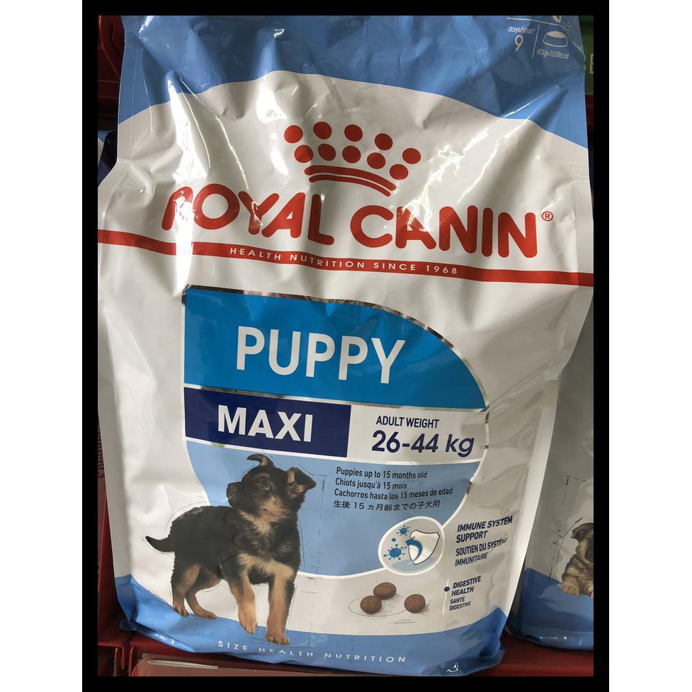 GRATIS  Royal Canin Maxi Puppy Maxi Junior 15kg/RC Puppy Maxi 15 kg