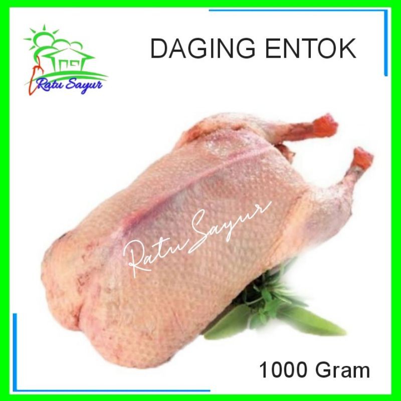 

DAGING ENTOK/ratusayur.id