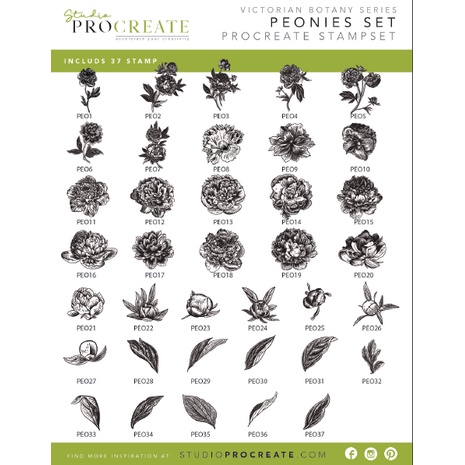 Procreate Brush - Victorian Botany Series Peonies Brushset