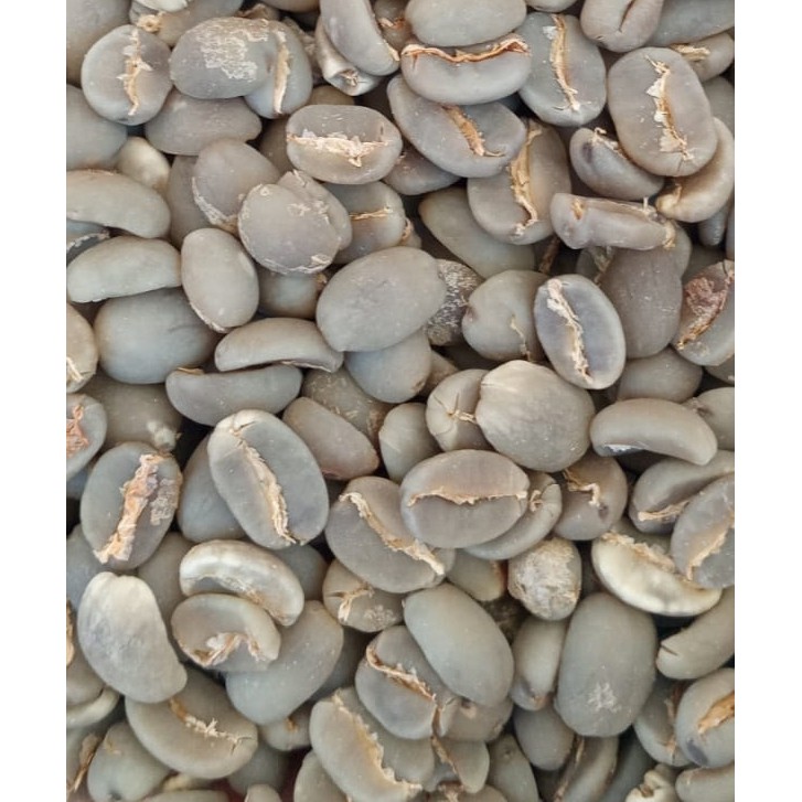 

SI TALBAK GREEN BEAN KOPI ARABIKA LINTONG 1000 GR | Export Quality