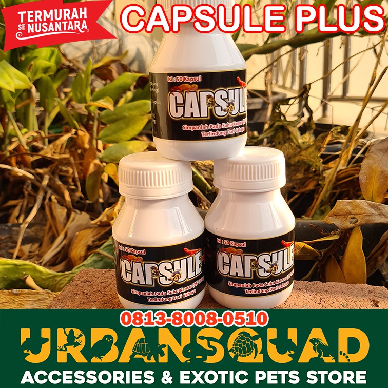 

CAPSULE PLUS / CAPSULE+ / 50 CAPSULE / MENYEMBUHKAN PENYAKIT TORTO SULCATA ALDABRA TERMURAH