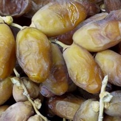 kurma tunisia TANGKAI 5KG