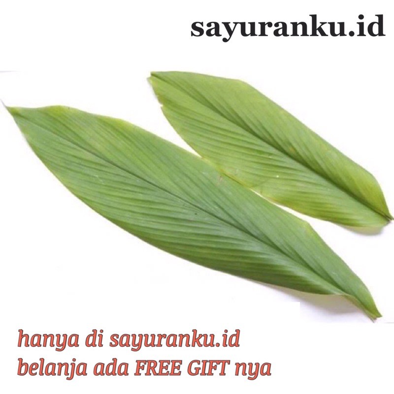 

daun kunyit per ikat sayur segar sayuran fresh pasar murah pasar jakarta