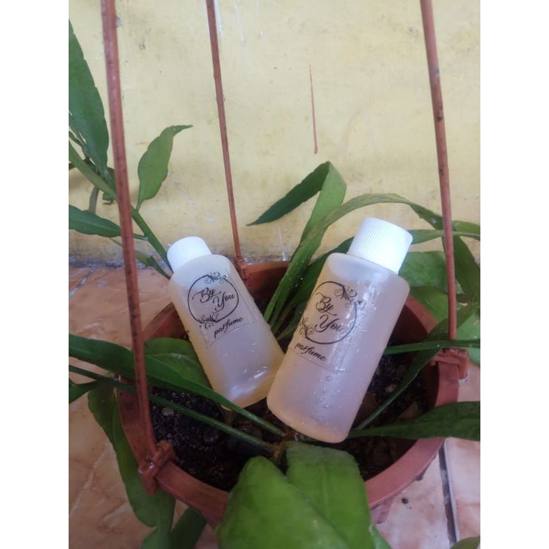 bibit parfum Taylor swift