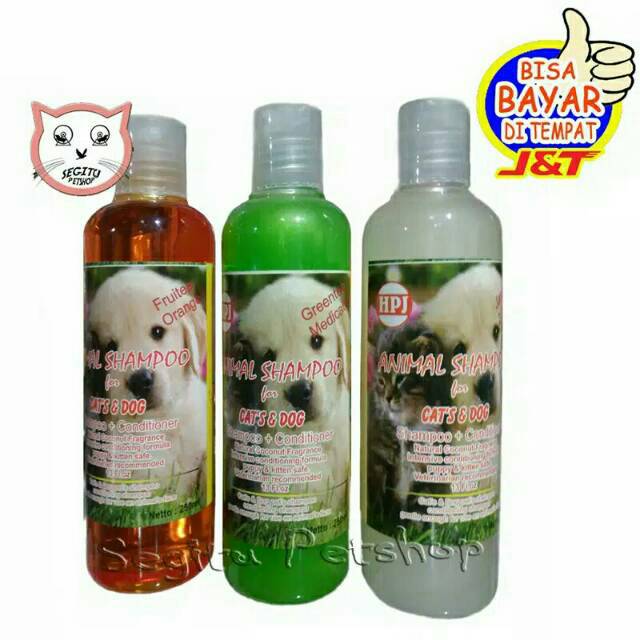 Shampo Kucing Wangi Sampo Anjing