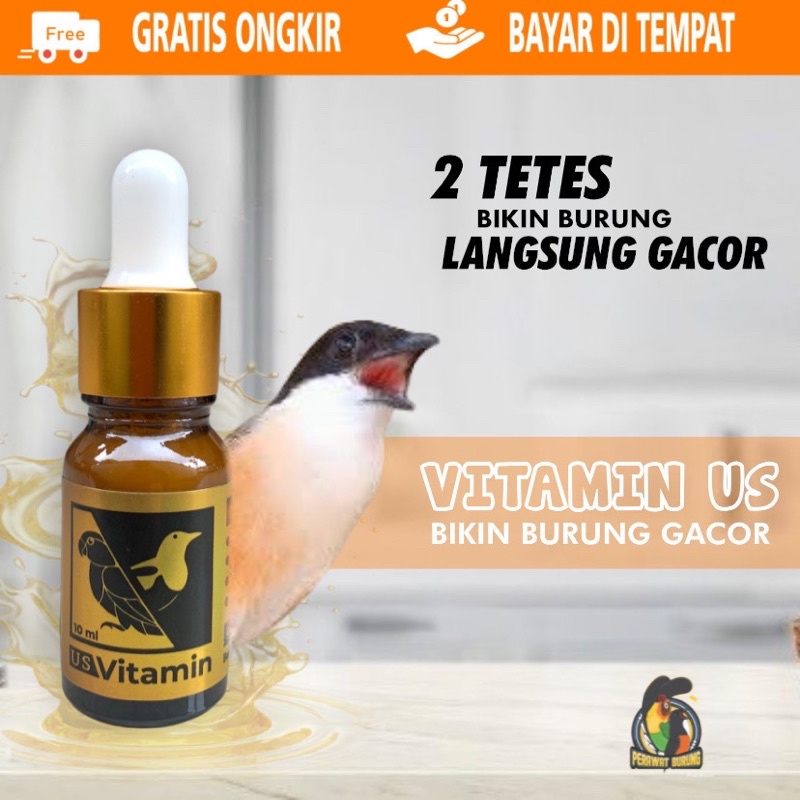 Vitamin cendet vitamin us bikin burung gacor bongkar isian