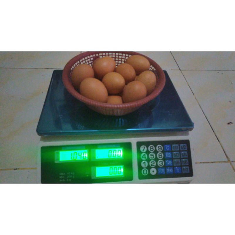 

telur ayam