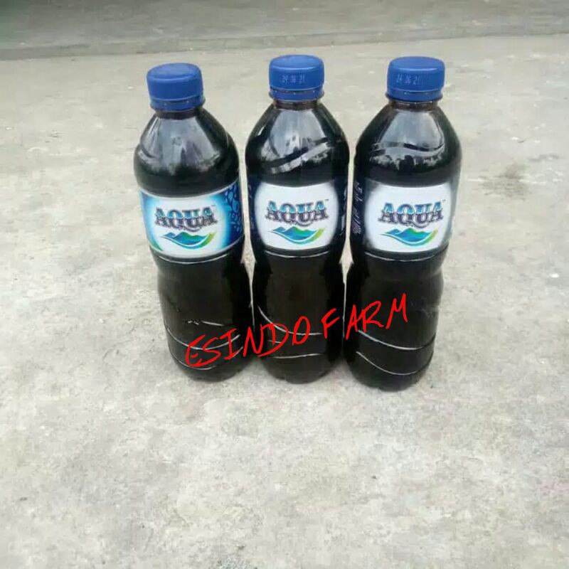 Molases, Tetes Tebu Termurah