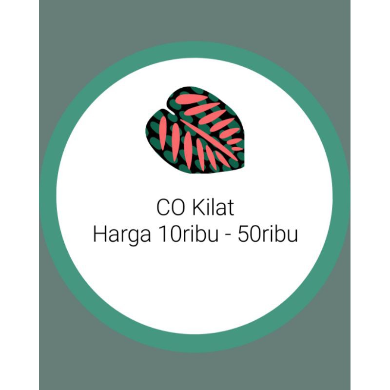 

link Coklat