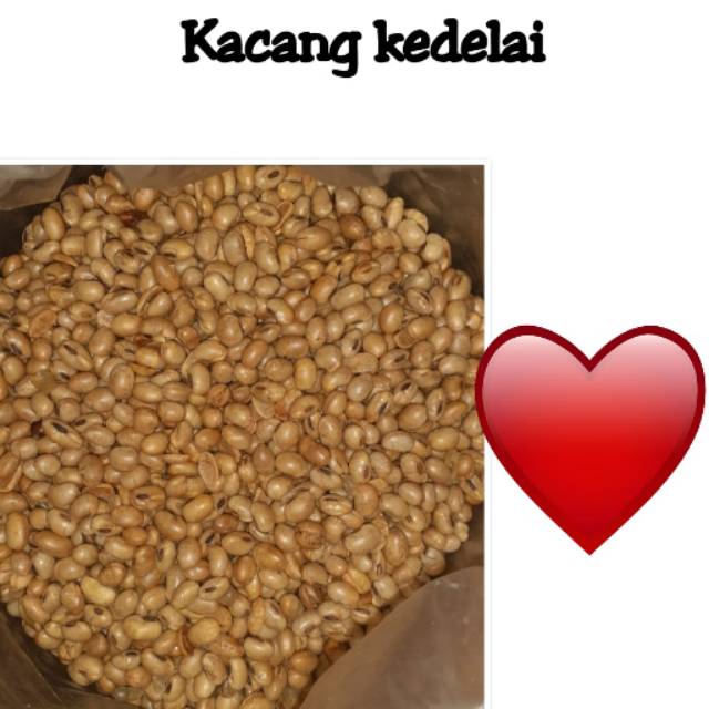 

Kacang Kedelai