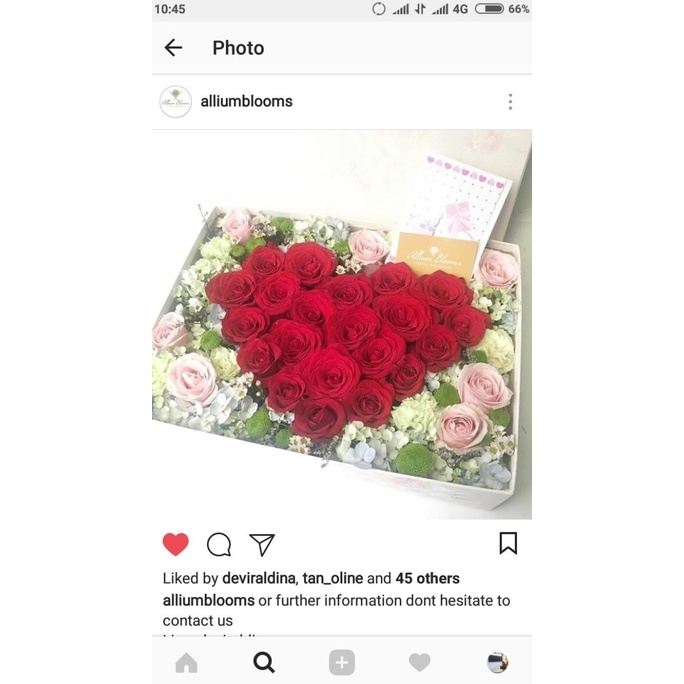 

[COD] Bloombox with red rose heart (box uk 30x40cm) [COD]