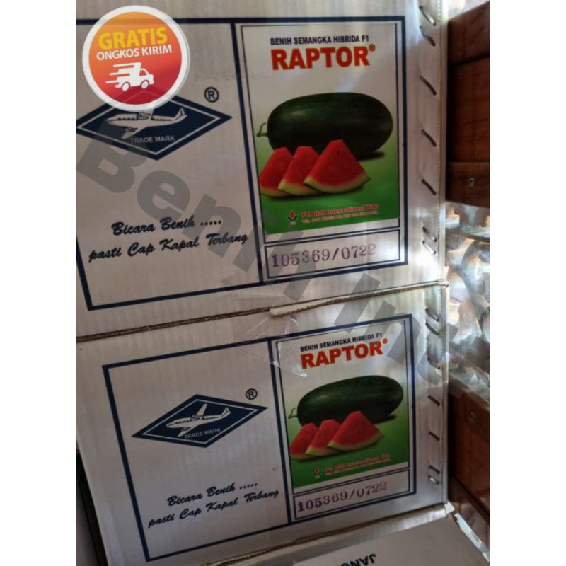 Benih Semangka Inul Merah Hibrida RAPTOR 20 gr