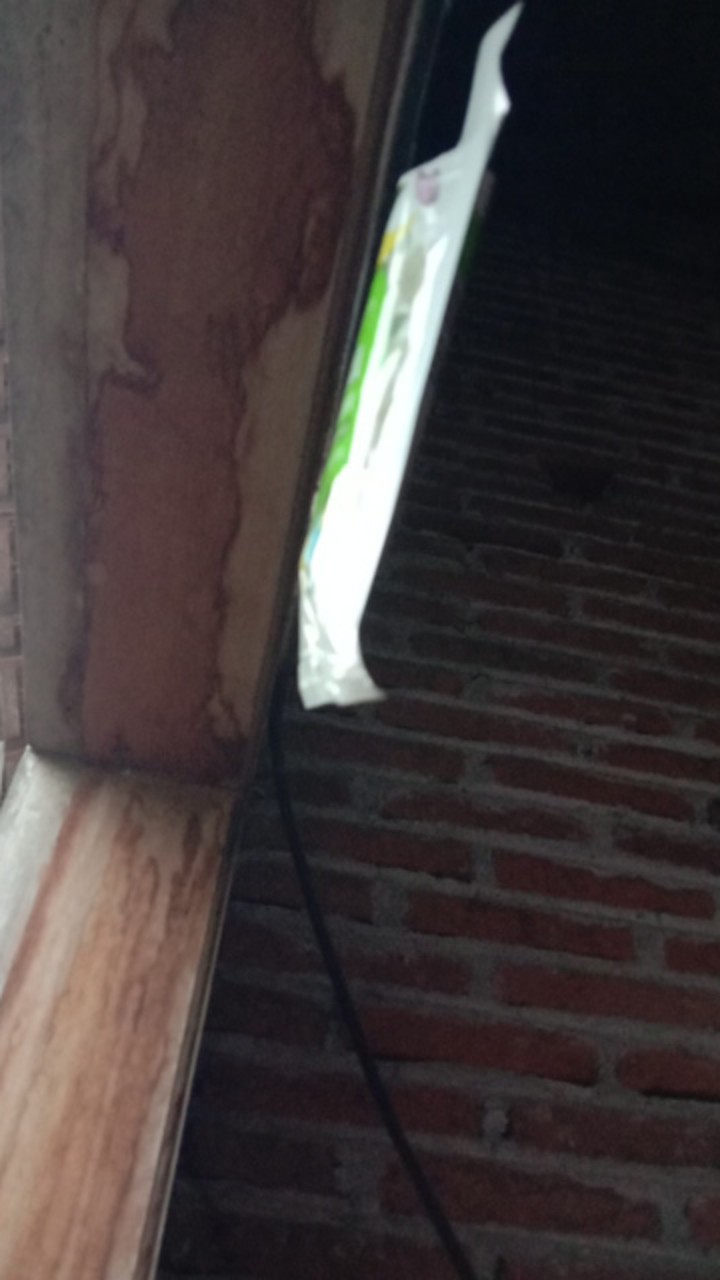 Stella Fogo Lemari / Stella Finesse Lemari Di Obral