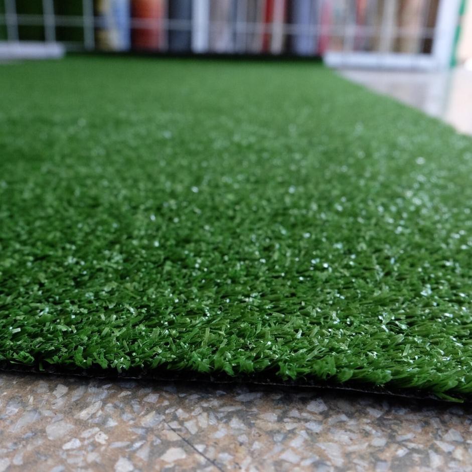 Rumput Karpet Murah Desainrumahkeren com