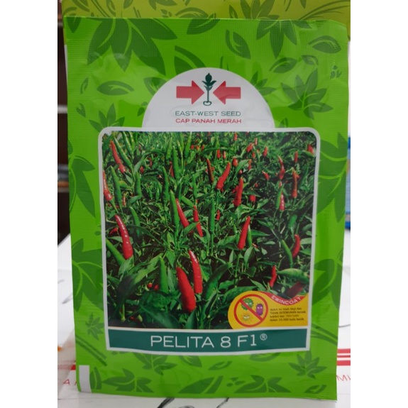 Benih Cabe rawit Pelita 8 F1 isi 2250 butir