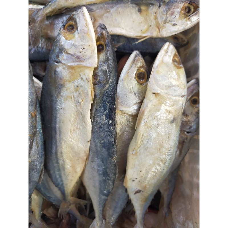 

ikan asin peda merah peda putih