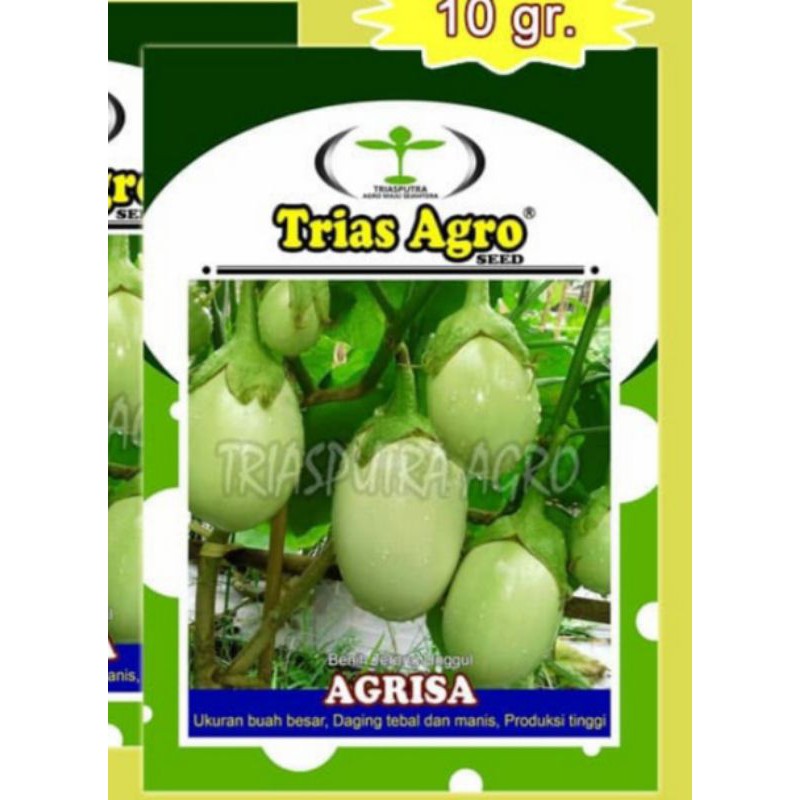 Benih Bibit Terong Hijau Pondoh AGRISA[10gr]