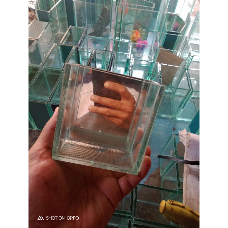 soliter mini cermin cupang soliter cupang aqurium cupang