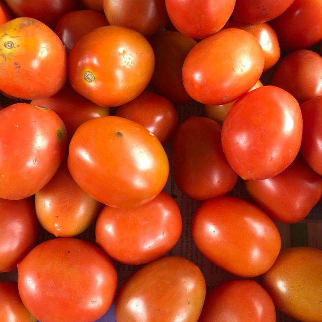 

Tomat Merah 1KG