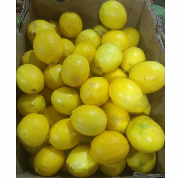 

Jeruk lemon lokal 250 gram