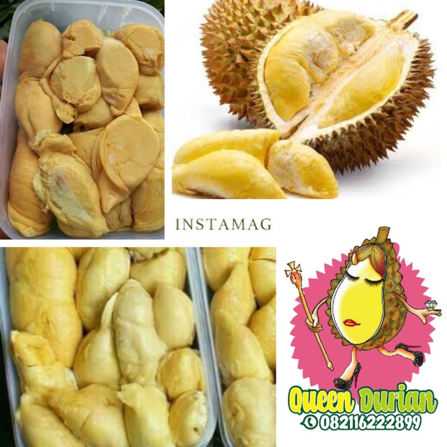 

Durian medan original