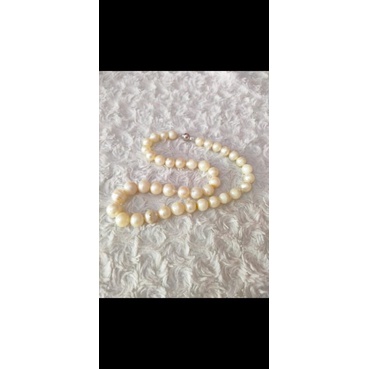 kalung full mutiara air laut termurah kalung mutiara laut
