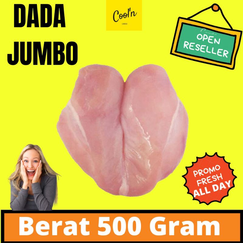 

Dada Fillet Ayam Besar Gede 500gr 500 gram Bonles Dada Ayam Fresh Fress Murah