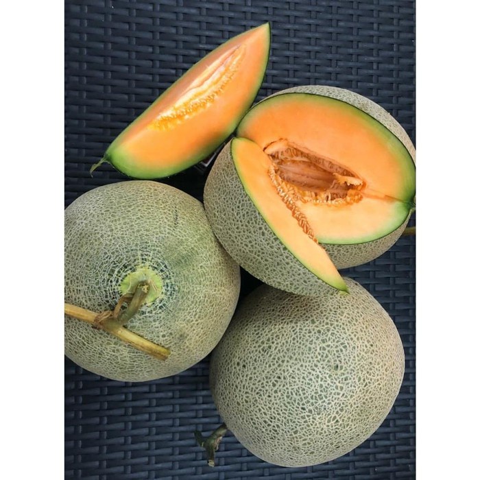

1 Kg - Melon | 100% Fresh Melon