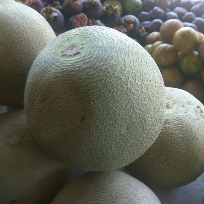 Melon /buah