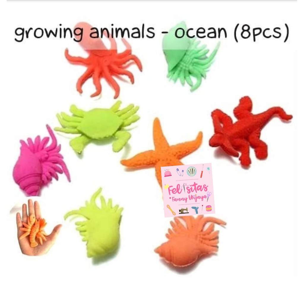 Growing Animals - Ocean