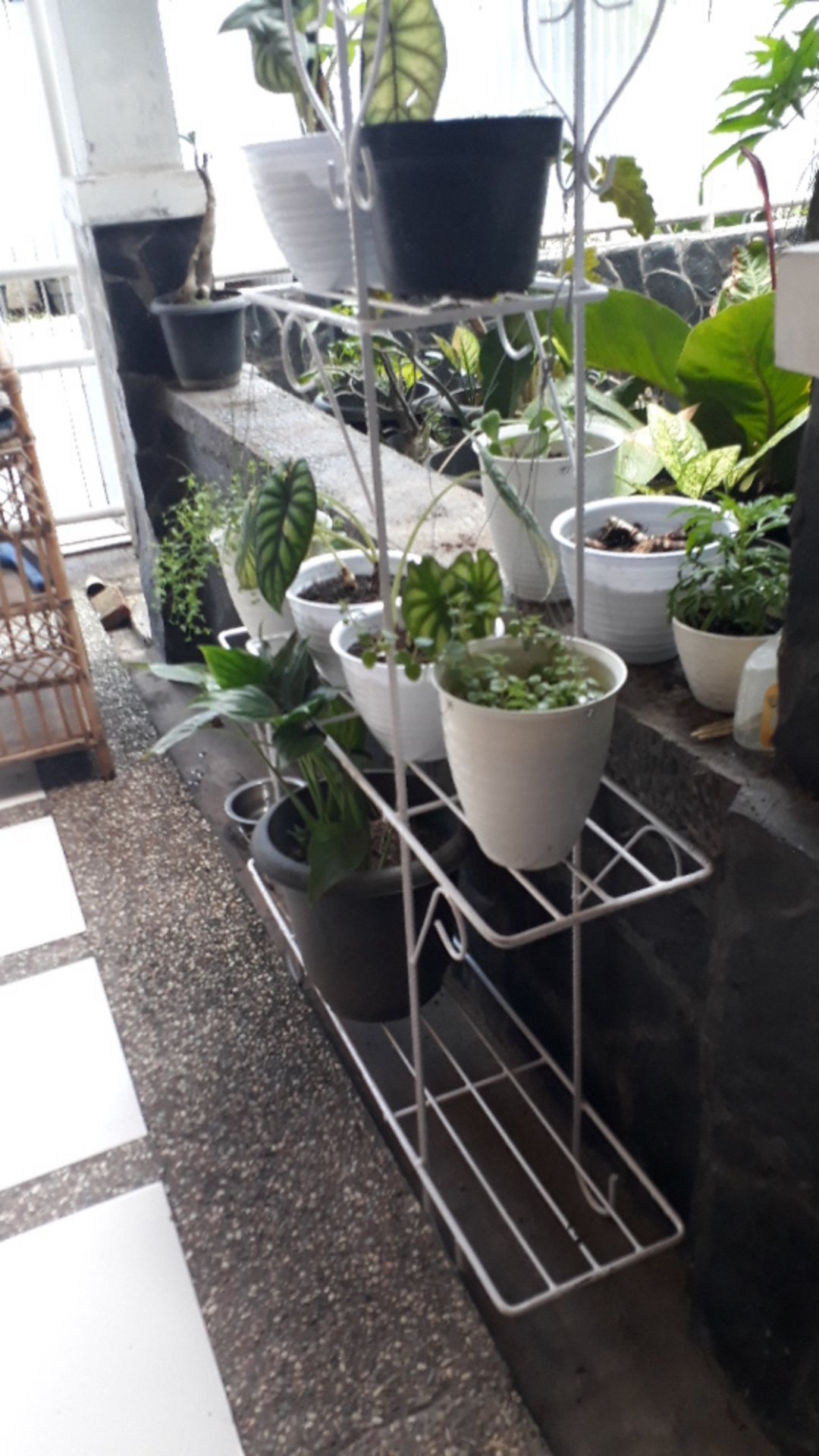 Rak Bunga Susun Besi Tanaman Hias Minimalis Bertingkat 5 Susun Model Standing Love