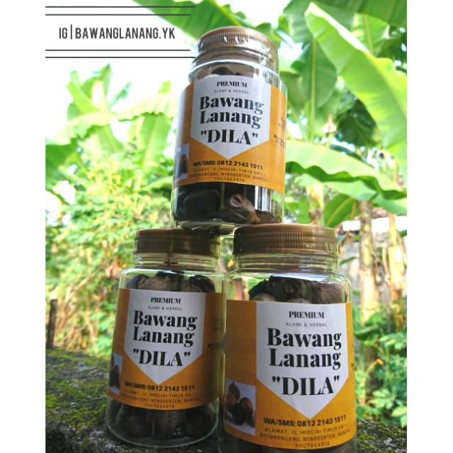 

Bawang Lanang Hitam