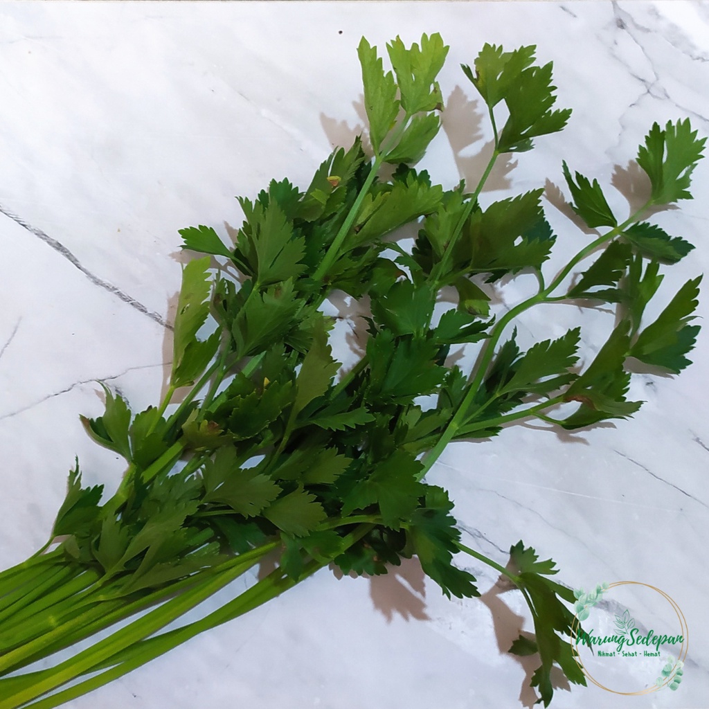

Daun Seledri Segar Sayur Seledri Sayur Segar Cikarang