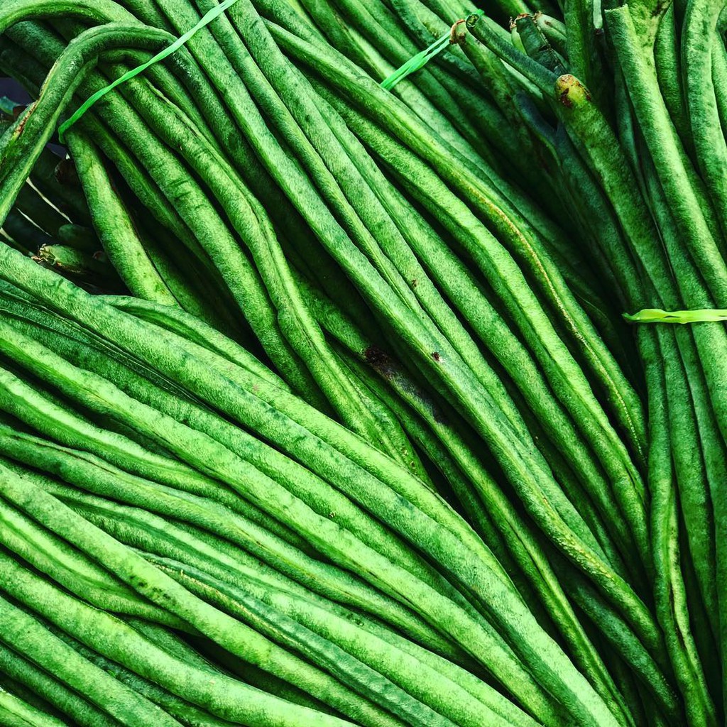 Kacang Panjang Segar