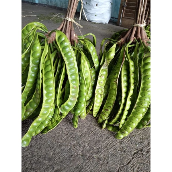 

PETE SUPER SEGAR PAKET 40RB 14 PAPAN