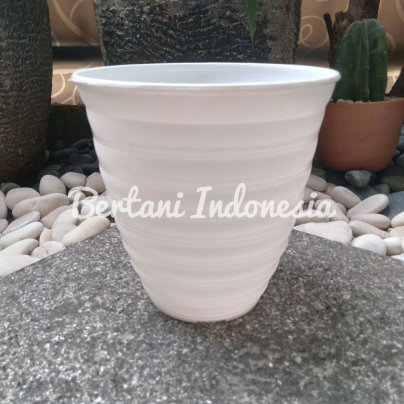 Jual Pot Putih Pirus Tawon Cm Diameter Cm Tanaman Hias Motif Bulat Bunga Tirus