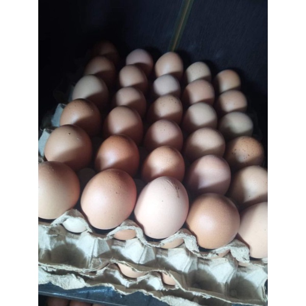 

telur kampung