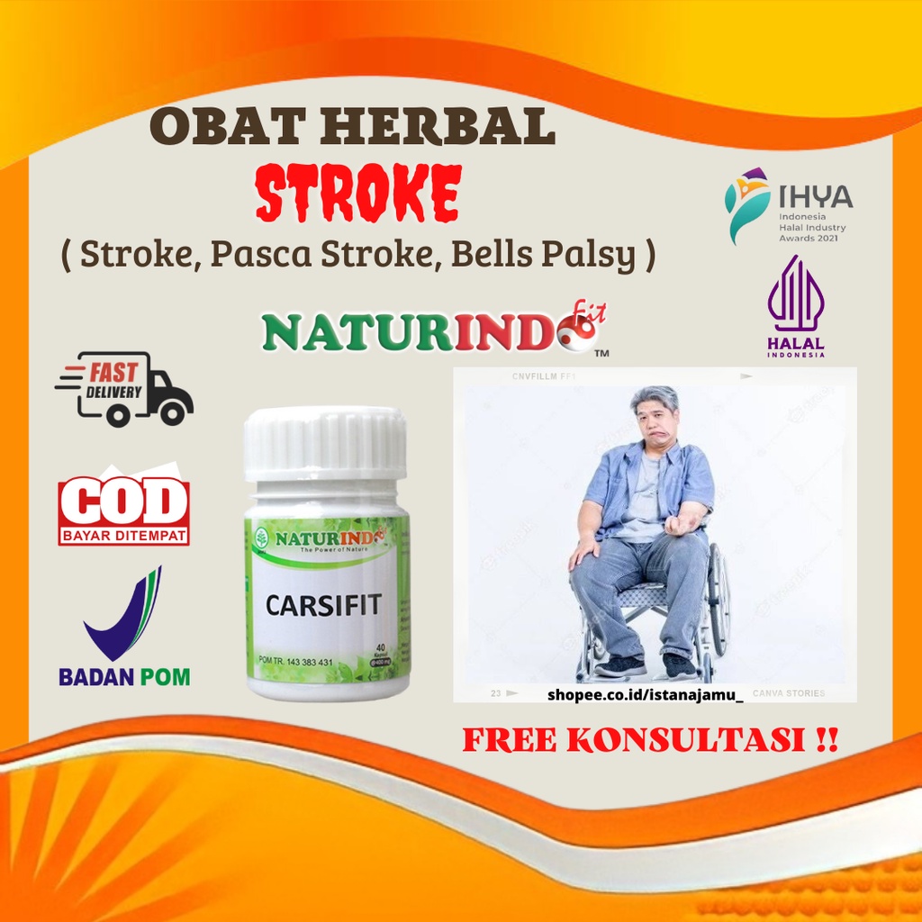 Jual Obat Herbal Stroke Ringan Pasca Struk Berat Bells Palsy