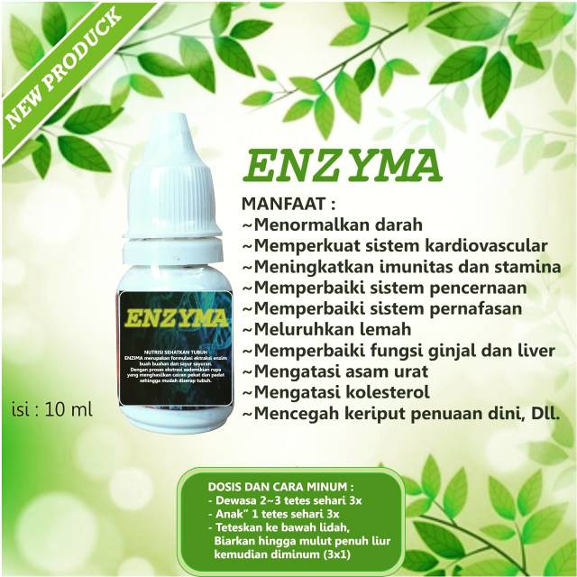 

Enzyma obat asam urat,kolesterol,DLL