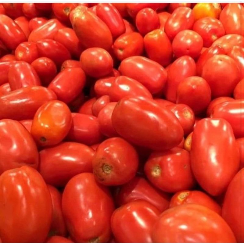 

TOMAT MERAH SEGAR 500GR / SAYUR ONLINE / BUAH SEGAR / IKAN SEGAR / AYAM SEGAR