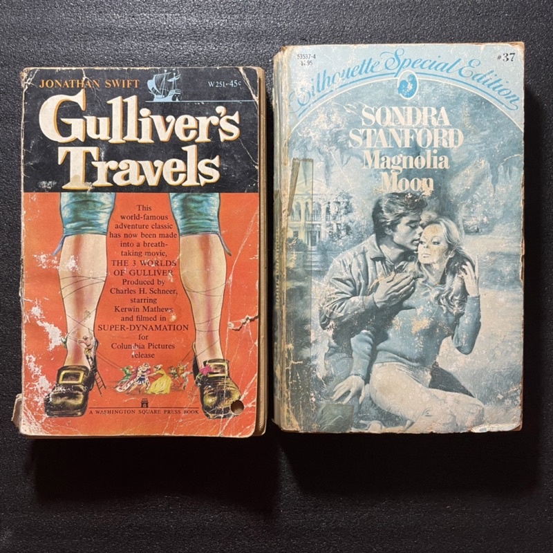 Novel bekas Bahasa Inggris