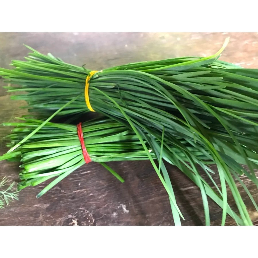 Bibit Benih Biji Herbal Daun Bawang Chinese Leek Kucai Garlic Chives-5