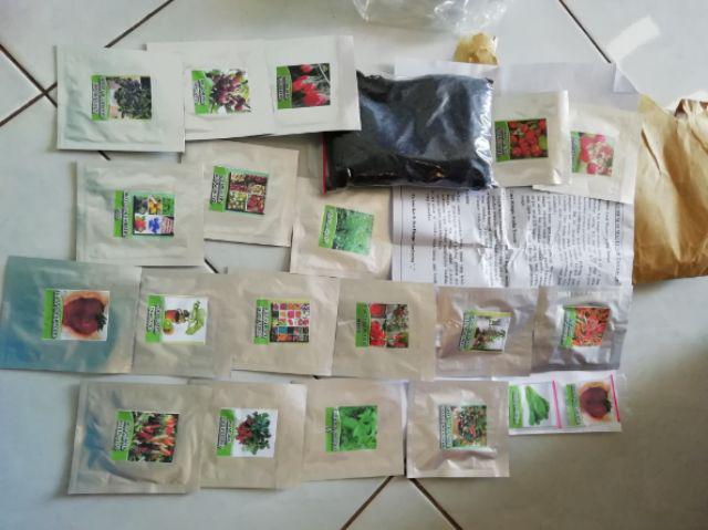 Biji Cabe king Of The North Pepper Seeds