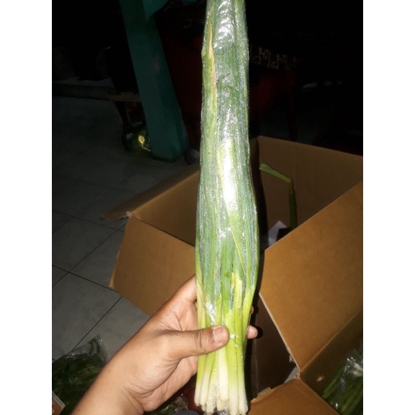 

daun bawang organik