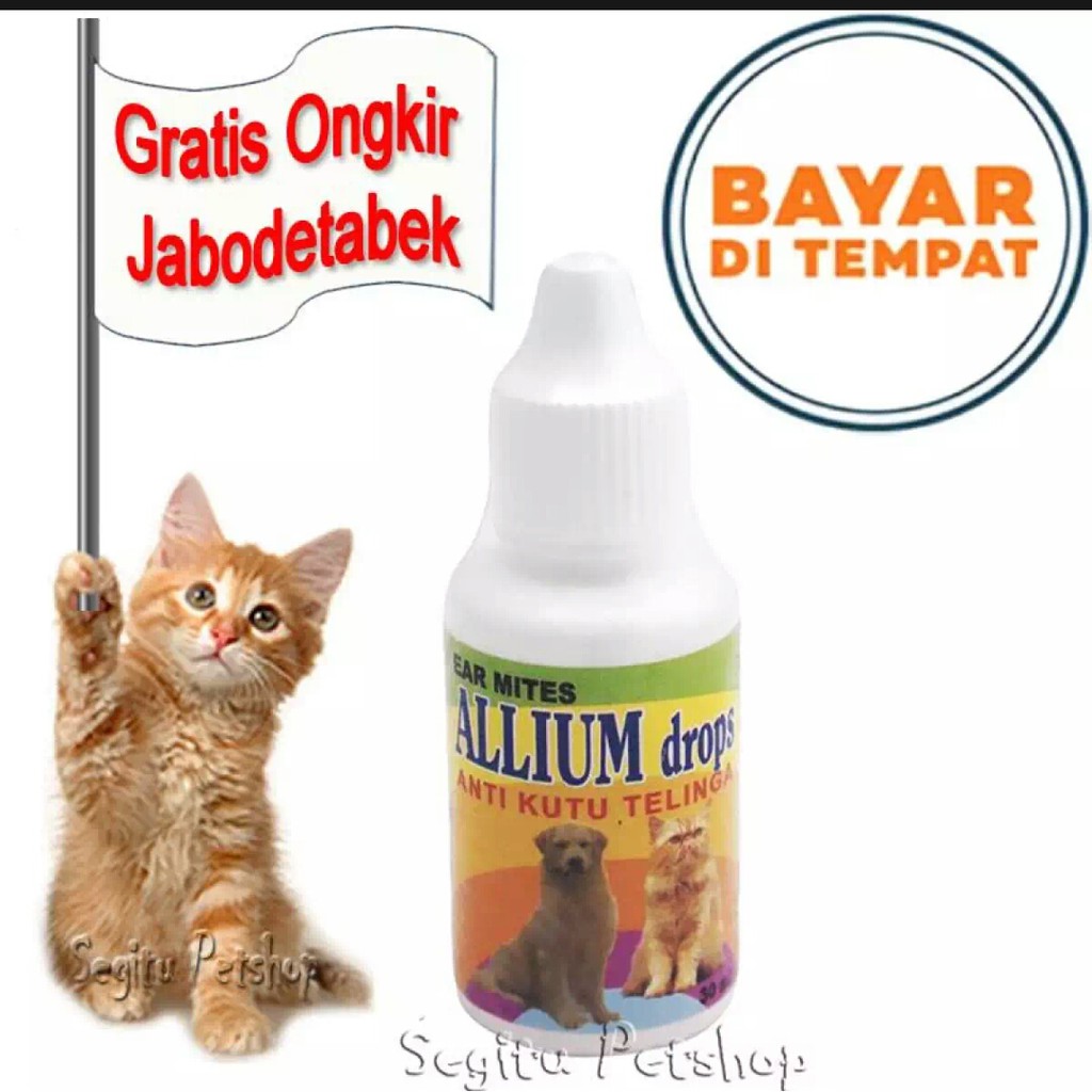 obat allium drop  pembersih telinga kucing anjing