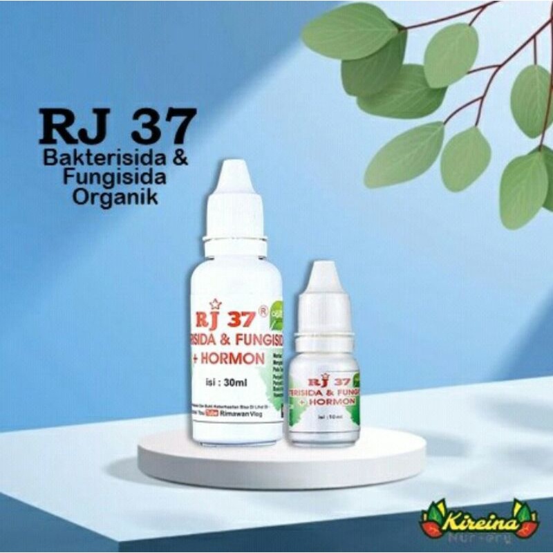 Bakterisida & Fungisida Organik RJ 37