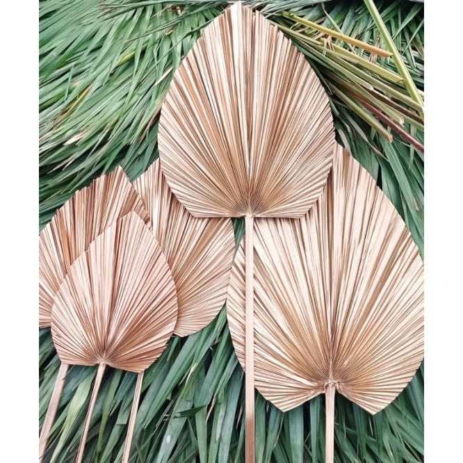 DAUN PALEM GOLD / DAUN PALEM KERING/WARNA EMAS /DAUN PALEM KERING HOME DECORATION