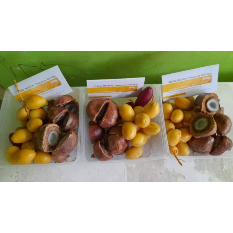 

Paket Promil Kurma Muda dan Buah Zuriat bonus Testpack