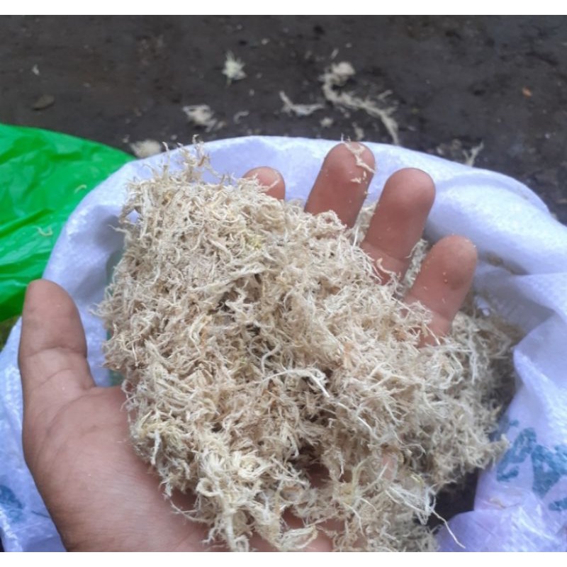 Sphagnum Moss Premium