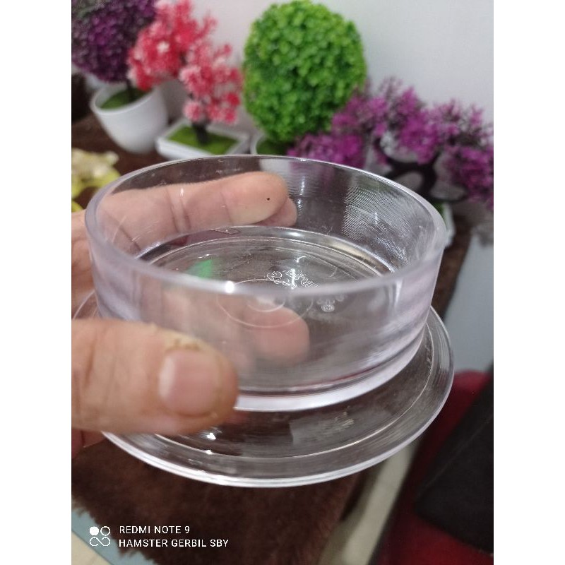 Tempat makan akrilik cocok buat hamster gerbil landak mini